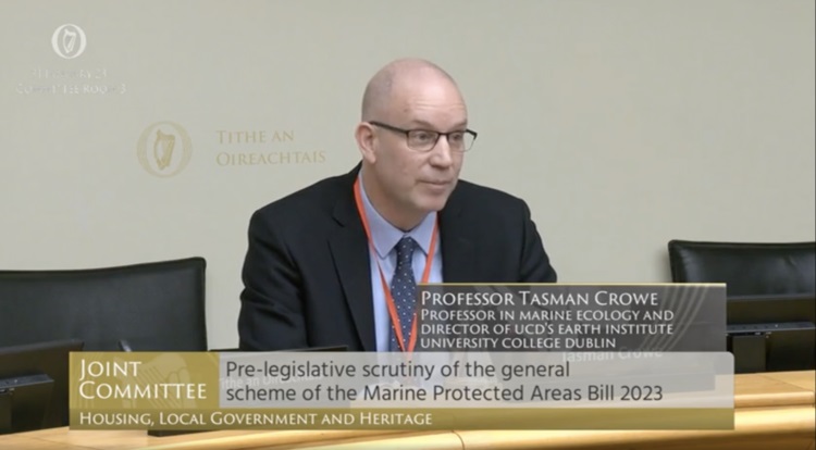 Screenshot from video of Prof Tasman Crowe at pre-legislative scrutiny of MPA Bill 2023